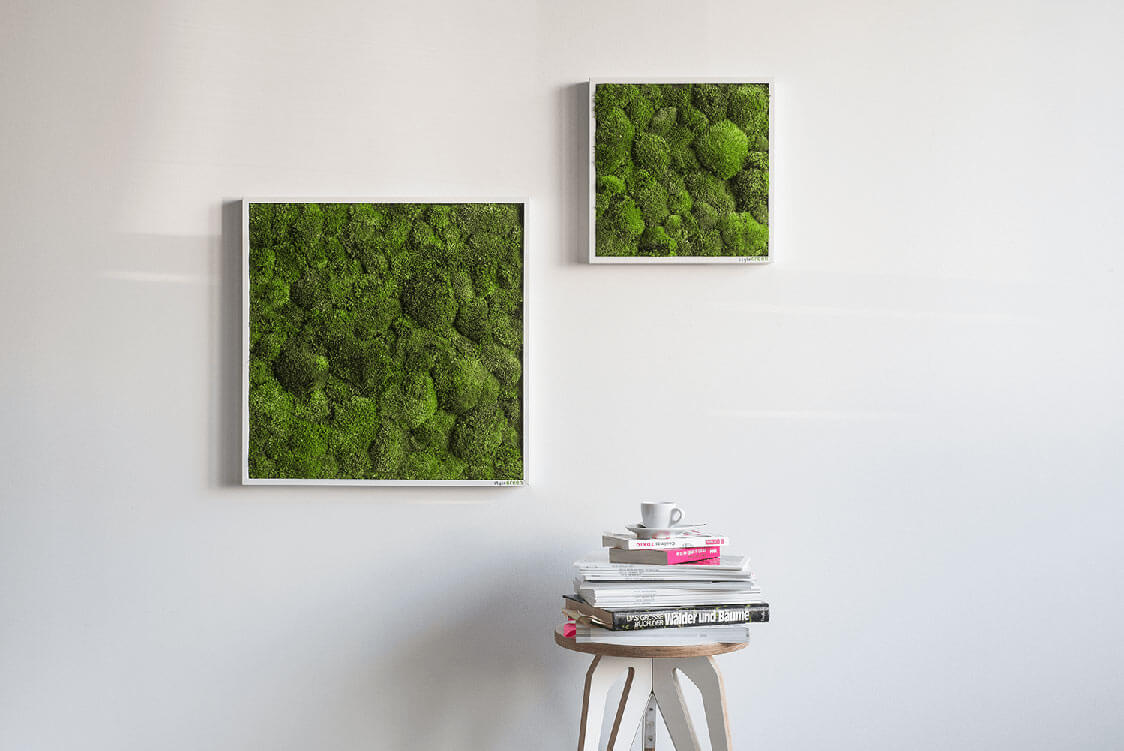 Mechový obraz z kopečkového mechu 80x80